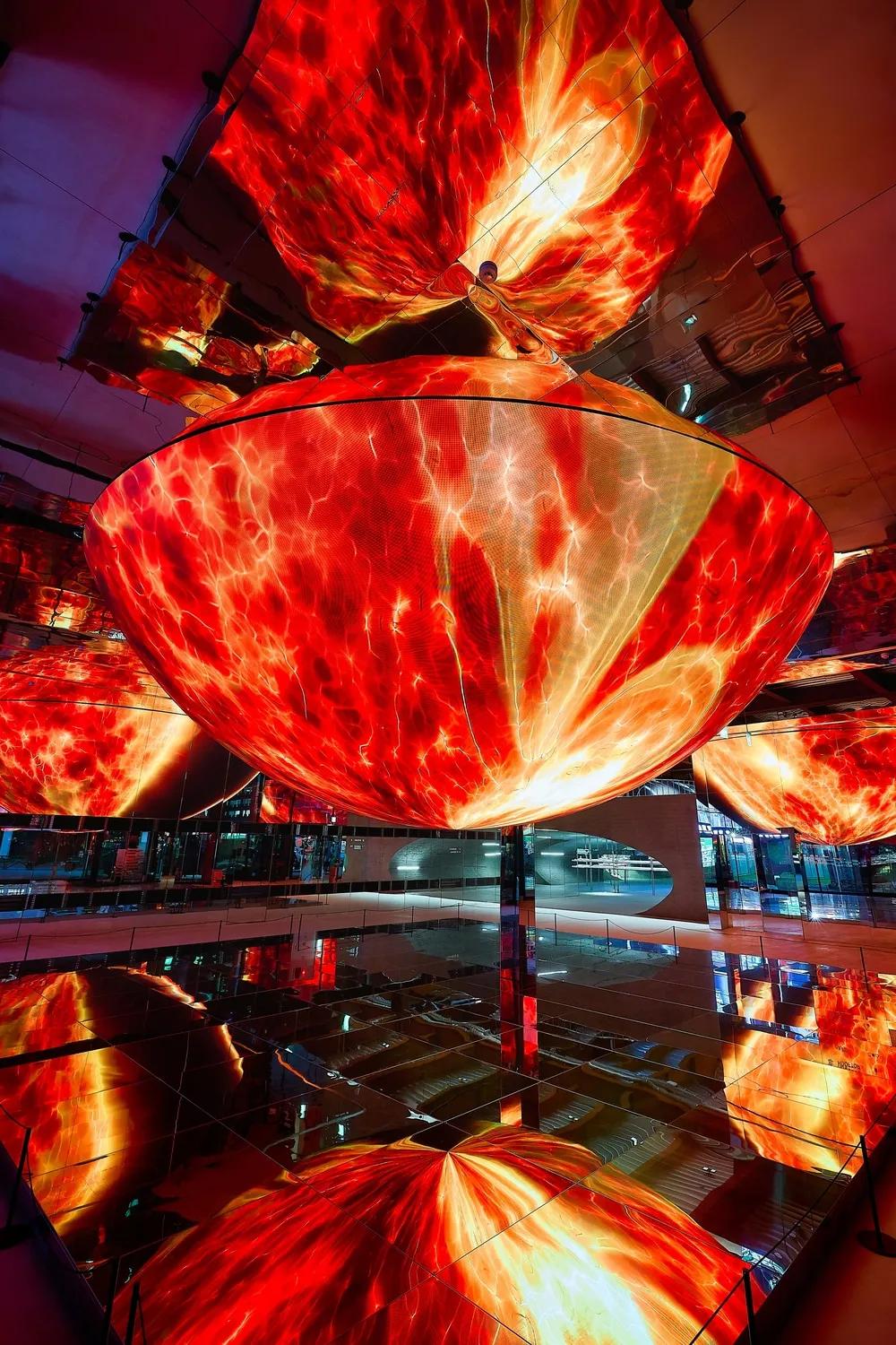 Blue Elephant Space Seongsu fashion eyewear collection display