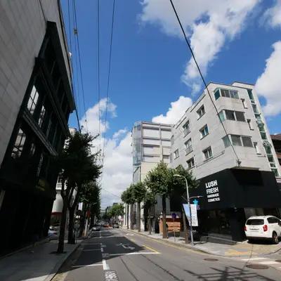 Garosu-gil tree-lined street in Sinsa-dong, Seoul