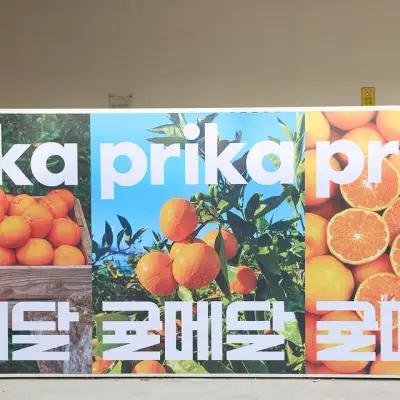 Gyul Medal x Frika Pop-up 1