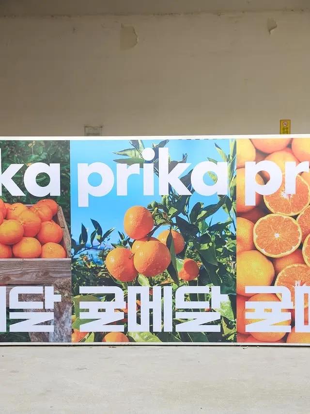 Gyul Medal x Frika Pop-up