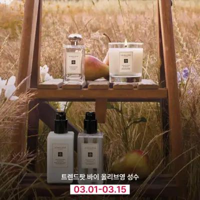 Jo Malone London English Pear at Olive Young Seongsu 1