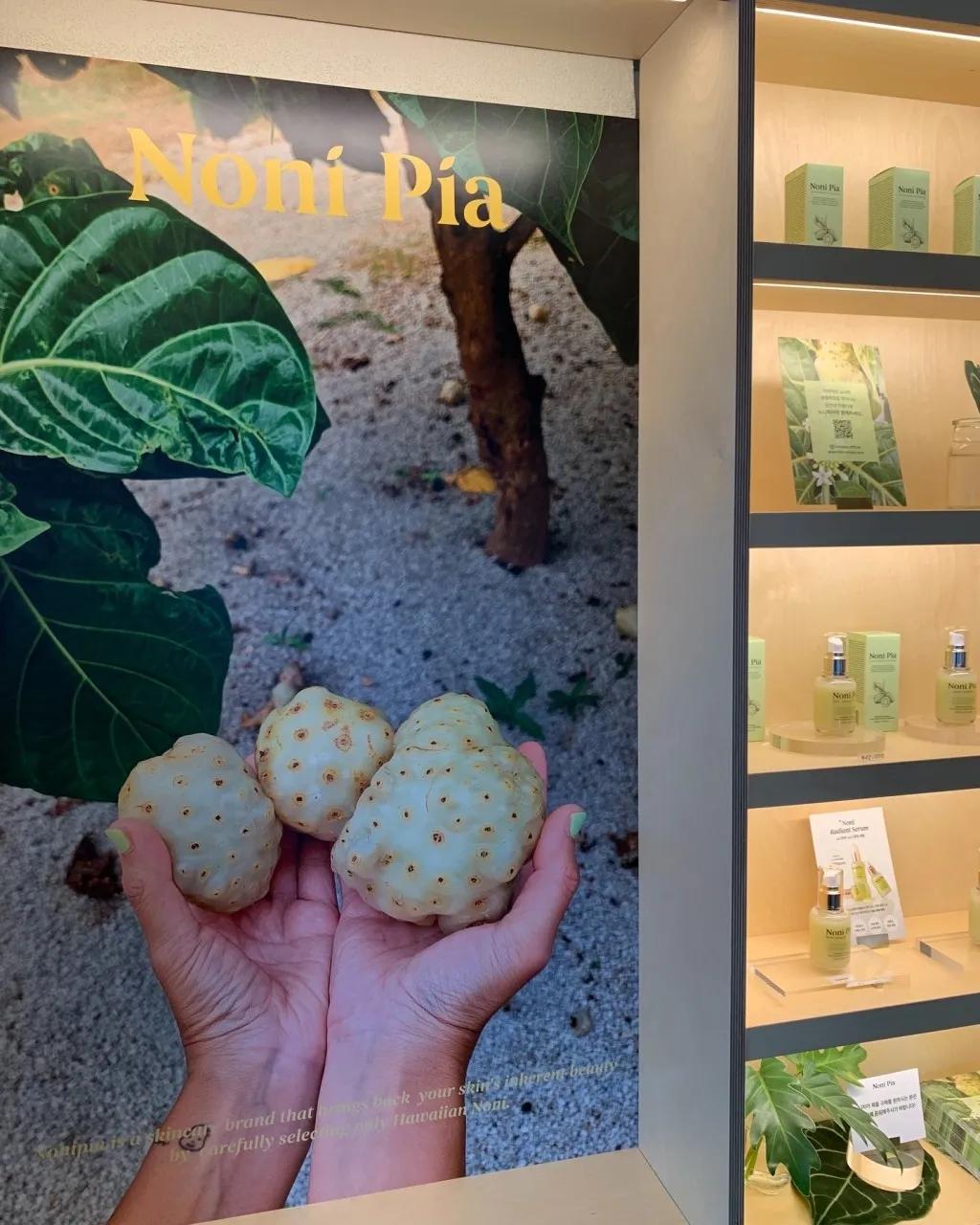 NONIPIA in AVEKCHERI Pop-up - Itaewon